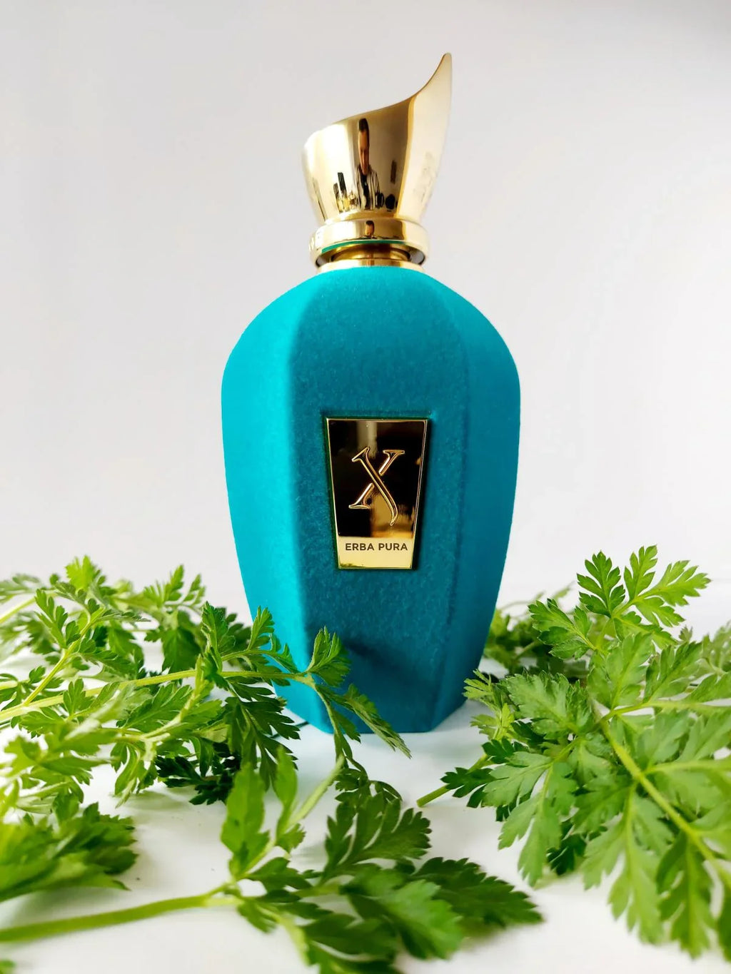 Xerjoff V Erba Pura Eau de Parfum
